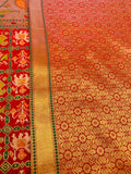 Red Paithani Saree with peacock motifs on gold zari borders
